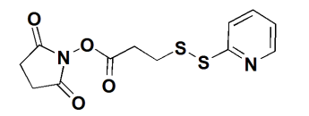 FITC-Lysozyme R-231098 产品图
