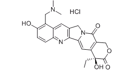 DPPC R-231098