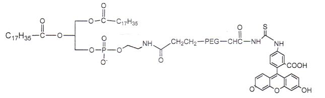 DSPE-PEG-Biotin R-231098